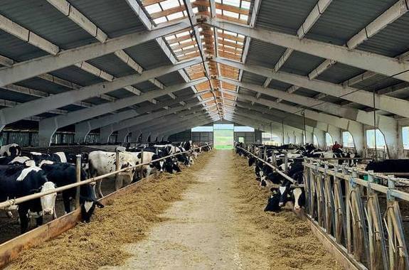 зображення  Мукко ферма